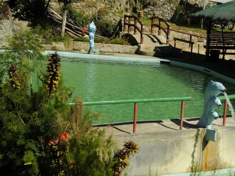 Carlo Trese Swimming Pool Itogon - Unclaimed Listing