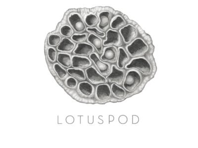 Lotuspod